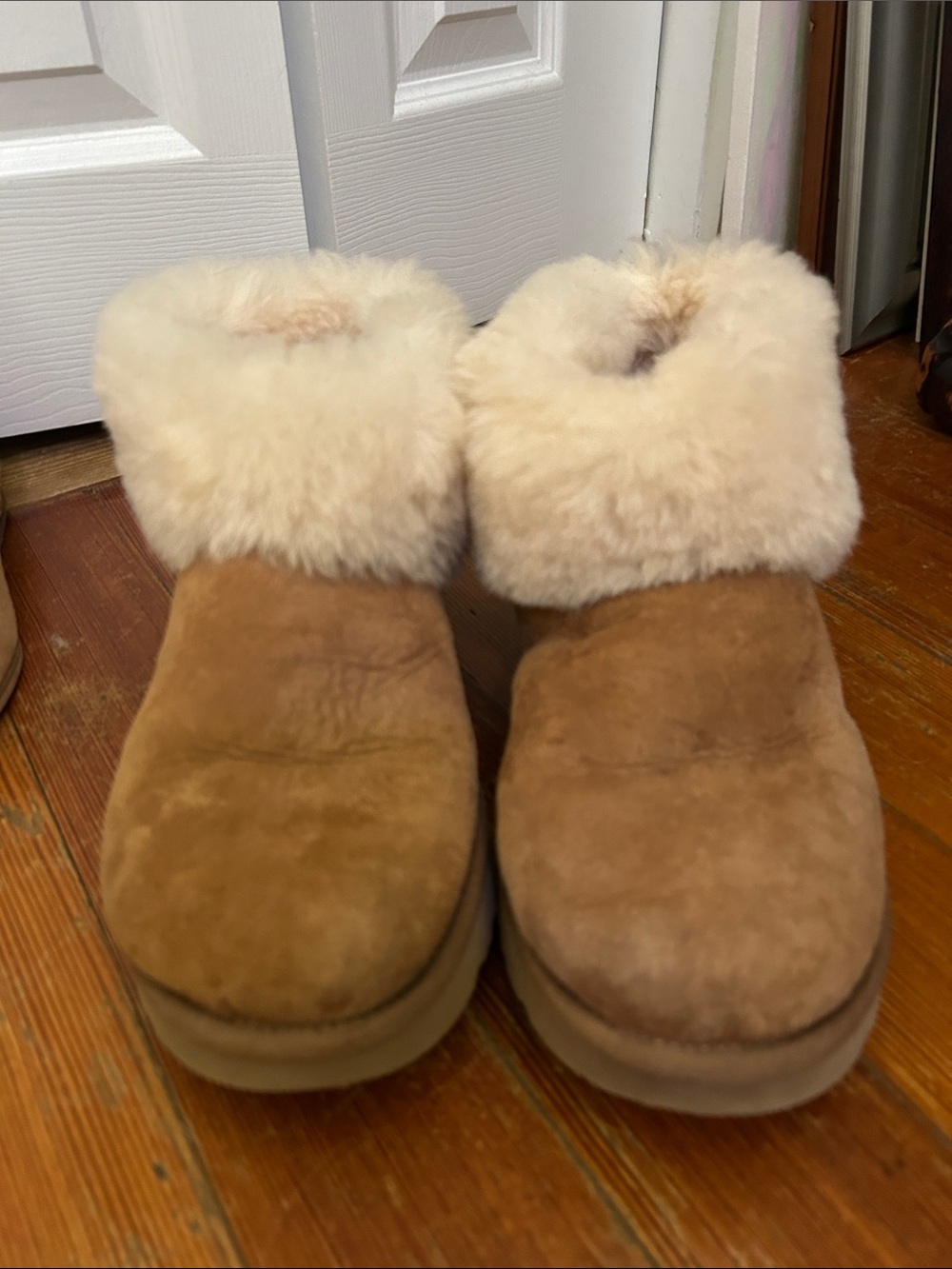 UGG Chestnut Sheepskin Cuff Ankle Booties